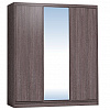 Шкаф-купе 2000 Домашний двери зеркало/лдсп + шлегель темный в интернет-портале Алеана-Мебель