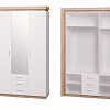 Шкаф 3-х дверный с зеркалом, 3 ящика Люмен 15 в интернет-портале Алеана-Мебель