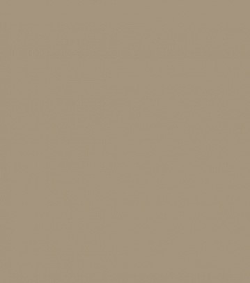 RAL 1019