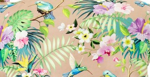 Kolibri beige