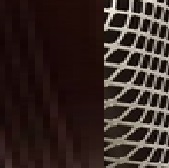6e4a79cd86760b049a2879e164a56275.jpg