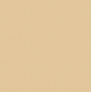 Best 85 (золотисто-бежевый перламутр) Best 85 (золотисто-бежевый перламутр)