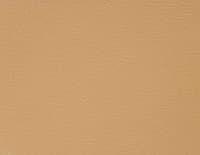 Метеор сабле