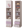 Шкаф для книг с ящиками и дверкой Адель в интернет-портале Алеана-Мебель