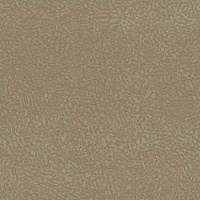 Elva Beige