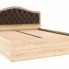 Кровать с ортопедическим основанием Дели 160х200, дуб сонома/шоколад в интернет-портале Алеана-Мебель