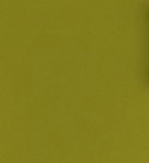 Олива глянец