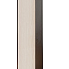 Шкаф Мини-Лайт МЛ-2 Бител цвет ясень с венге вид спереди