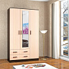 Шкаф комбинированный Лагуна с зеркалом в интернет-портале Алеана-мебель