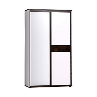 Шкаф-купе Норвуд 303