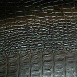 Крокодил (искусственная кожа)