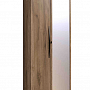 Шкаф для одежды КОРПУС + ФАСАД Зеркало контур + ФАСАД Стандарт Nature 54 в интернет-портале Алеана-Мебель