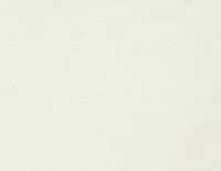 Комета вайт