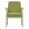 Кресло Сканди, зеленый (Арника)