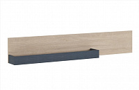 Полка Прага 2