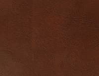 Спейс бренди