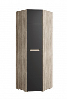 Шкаф Наоми ШК-21 Дуб каньон/Графит нубук