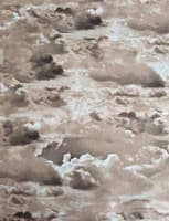 2В темно-бежевый