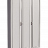 Шкаф для одежды 3-х дверный Melania 01 в интернет-портале Алеана-Мебель
