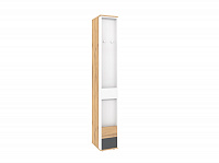 Шкаф МЦН Лойс 85