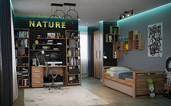 Молодежная комната Nature (комплект 5) в интернет-портале Алеана-Мебель