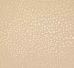 Polaris Beige