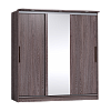 Шкаф-купе Strike 2000 дверь зеркало и 2 двери лдсп с карнизом в интернет-портале Алеана-Мебель
