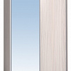 Шкаф-купе 1600 Домашний зеркало/лдсп + шлегель, Бодега Светлый в интернет-портале Алеана-Мебель
