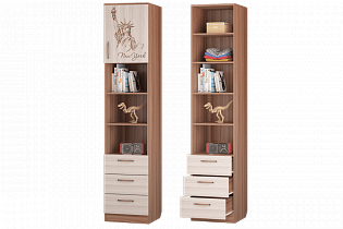 Шкаф для книг с ящиками и дверкой Вояж в интернет-портале Алеана-Мебель