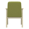Кресло Сканди, зеленый (Арника) вид сзади