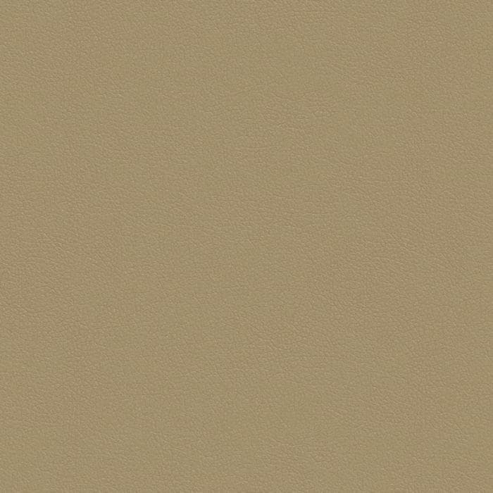 81