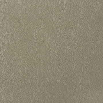 3646