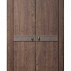Шкаф для платья дуб тортона 24 модуль 188 в интернет-портале Алеана-Мебель